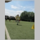k-IMG_3214.JPG